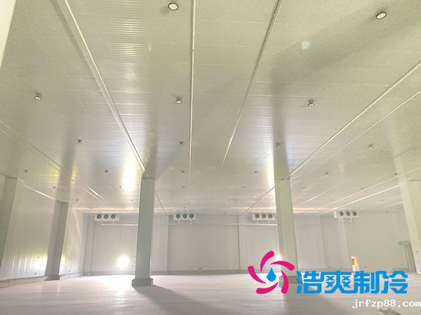 昆明开云体育最新下载软件厂家 昆明开云体育最新下载软件厂家