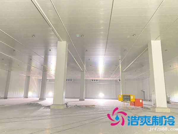 江西速冻开云体育最新下载软件造价多少钱一平方-浩爽制冷 江西速冻开云体育最新下载软件造价多少钱一平方-浩爽制冷