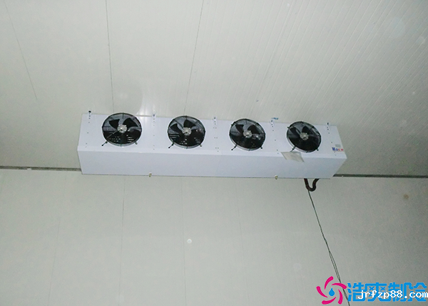 低温开云体育最新下载软件