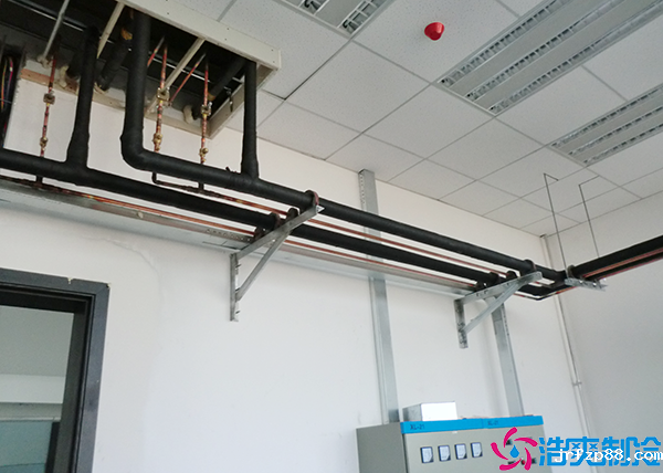 开云体育最新下载软件