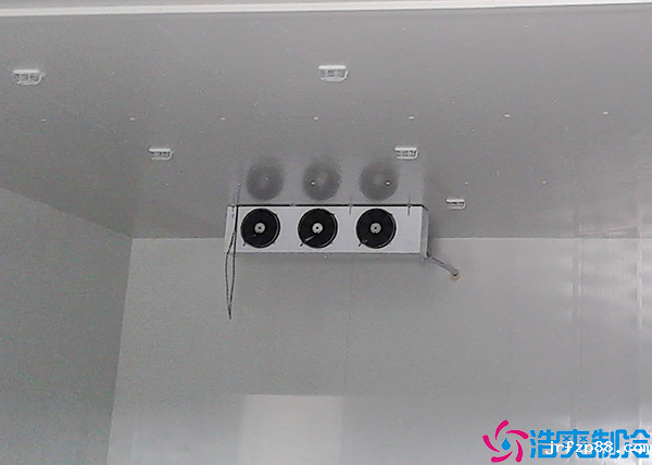 开云体育最新下载软件