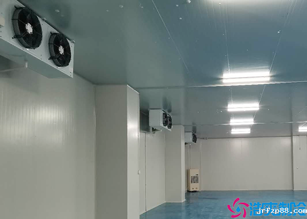 开云体育最新下载软件