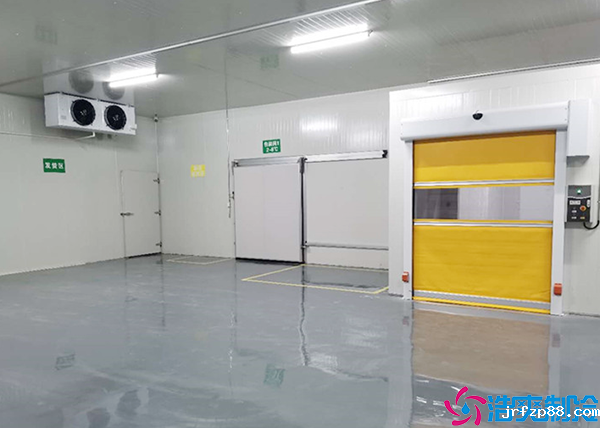 开云体育最新下载软件