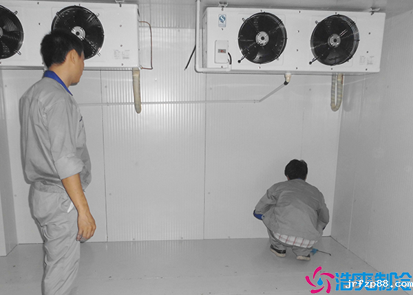 开云体育最新下载软件