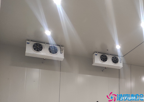 玉米加工厂冷库