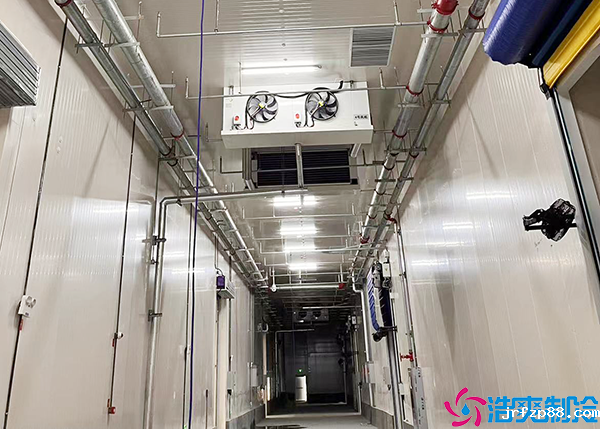 低温车间冷库