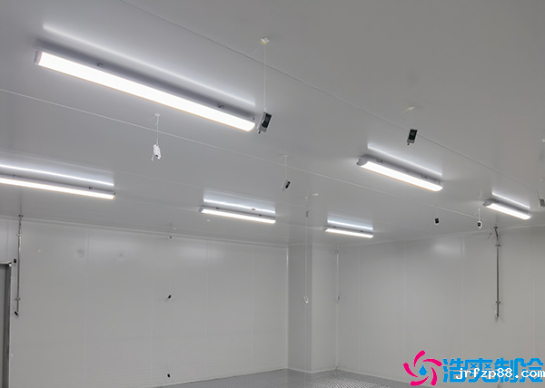 开云体育最新下载软件