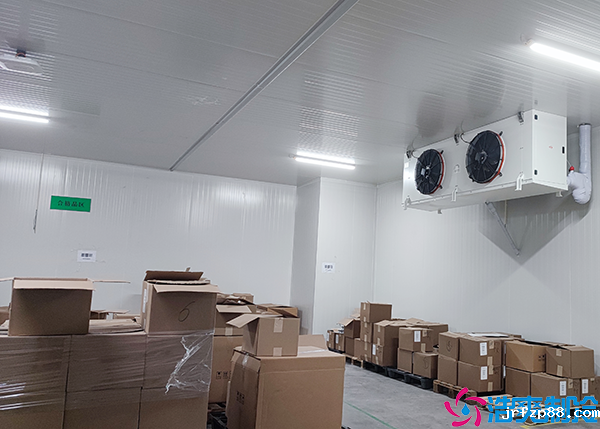 开云体育最新下载软件