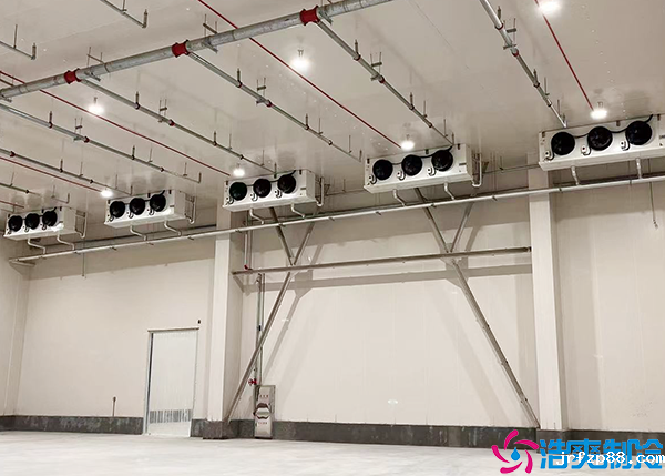 大型开云体育最新下载软件