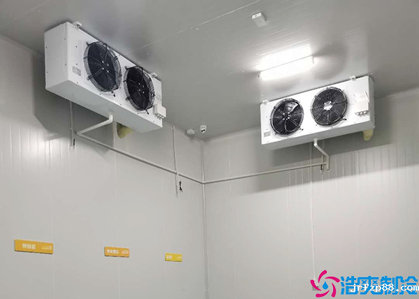 葡萄气调保鲜冷库