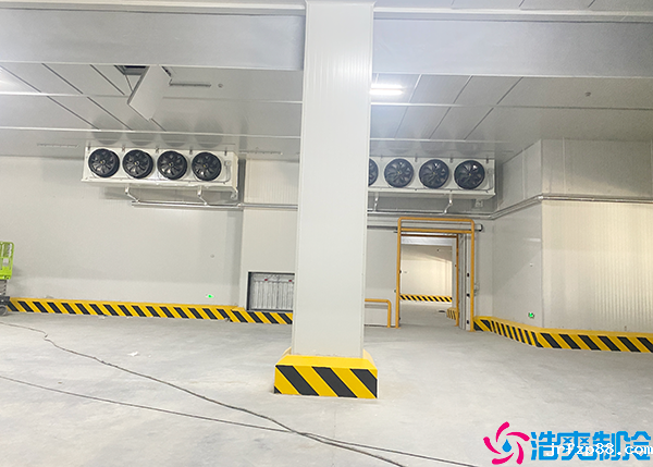 大型开云体育最新下载软件