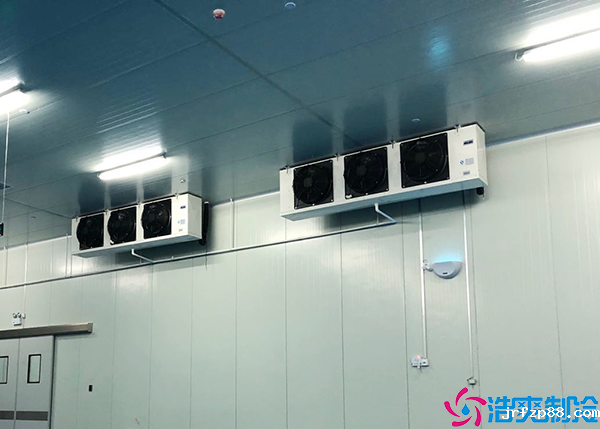 大型低温肉品冷库