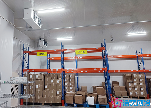 开云体育最新下载软件