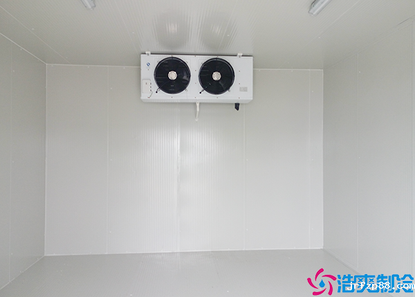 小型开云体育最新下载软件