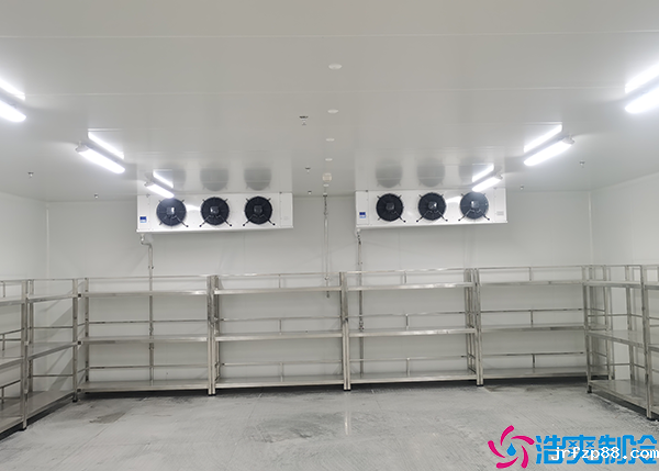 开云体育最新下载软件