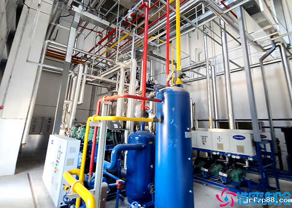 大型开云体育最新下载软件