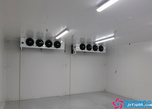 小型开云体育最新下载软件