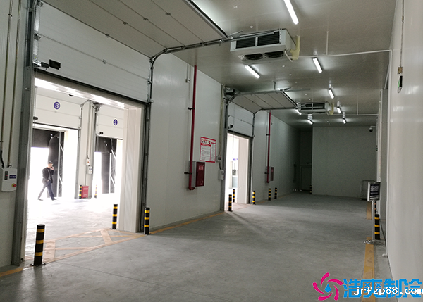 开云体育最新下载软件