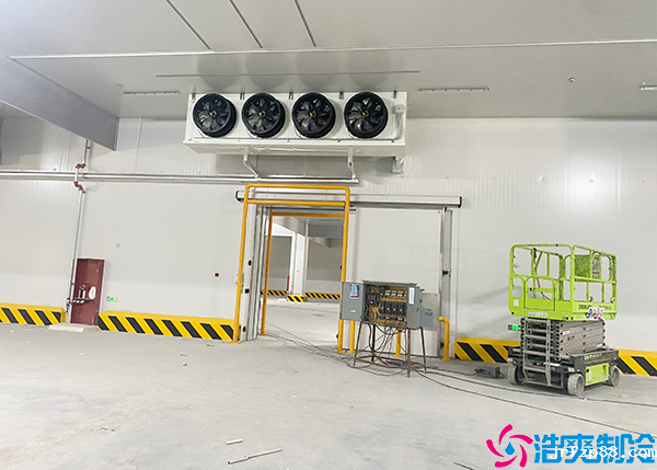 开云体育最新下载软件