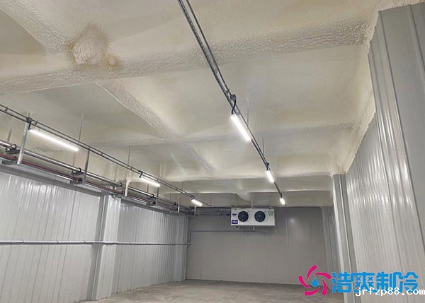 常熟牛肉小型冷库设计安装方案.jpg