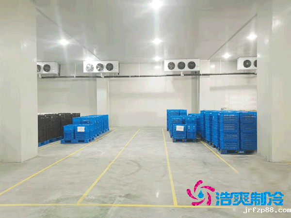 2025年各类型冷库造价及成本盘点