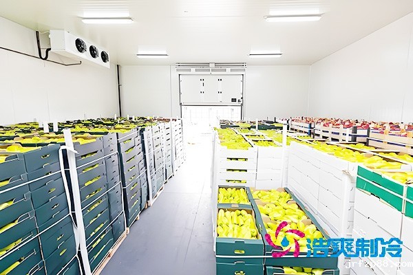 水果催熟冷库安装造价