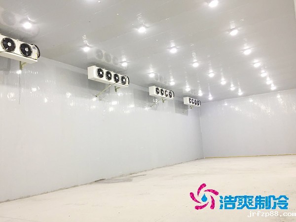 100吨蔬菜保鲜冷库造价