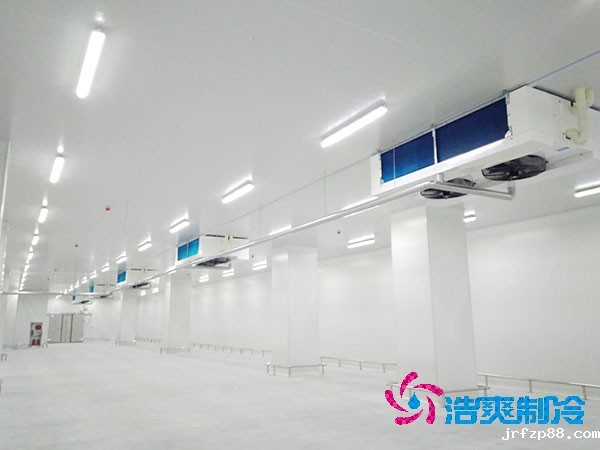 5000吨大型冷库造价