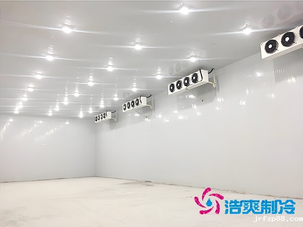 500平米蔬菜保鲜冷库造价