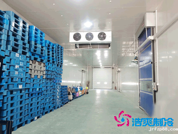 屠宰场冷库建造费用