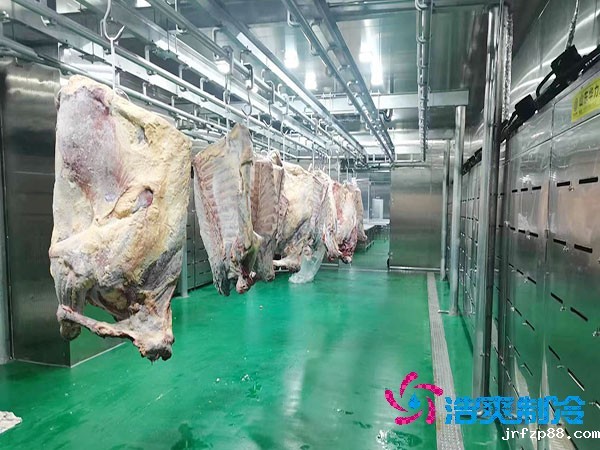 牛羊肉冷冻库安装造价