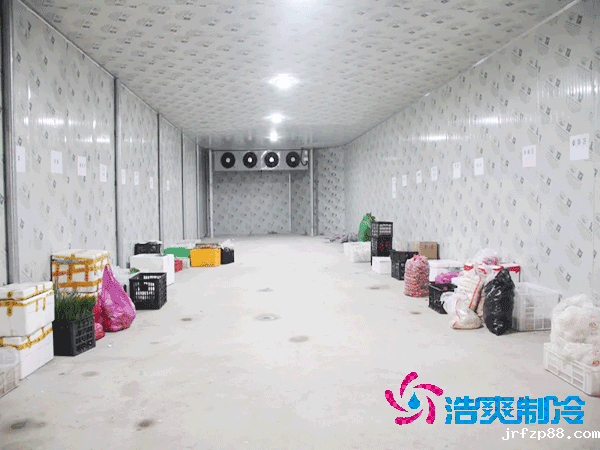 建设大型蔬菜保鲜库的造价及安装费用解析-浩爽制冷