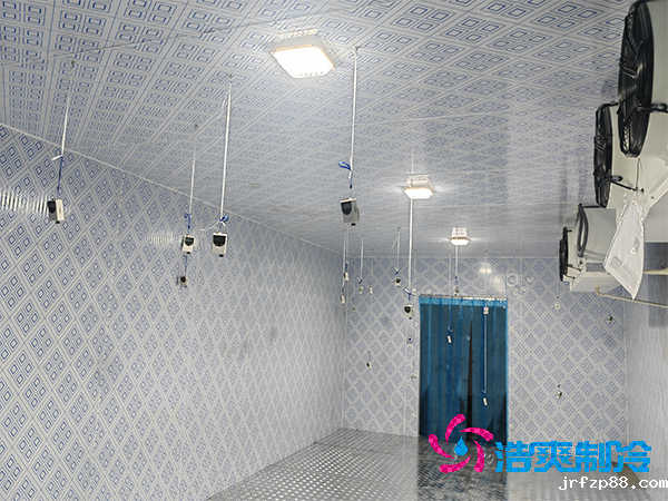 建造一个500平方米冷库的造价多少钱？-浩爽制冷