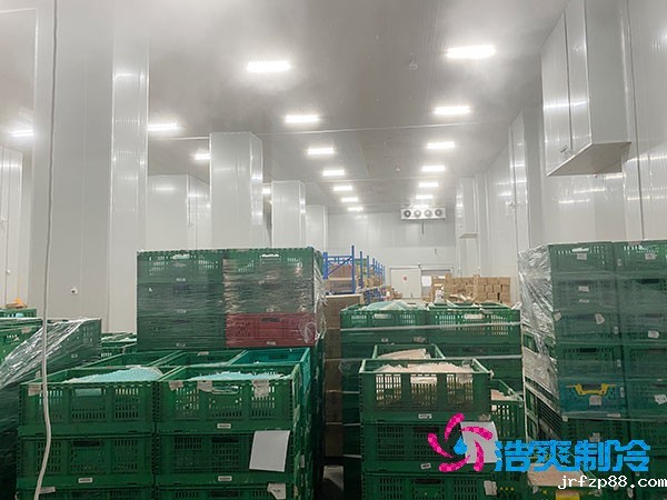 100平米保鲜冷库能存储多少吨香菇？香菇冷库造价多少钱？