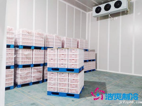 大型气调冷库造价