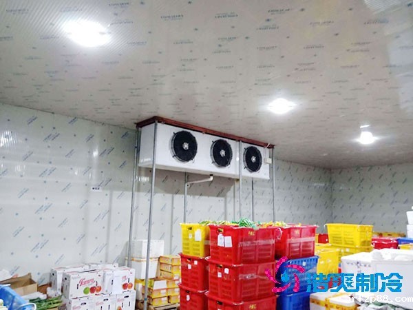 建一个蔬菜冷库造价需要多少钱？-浩爽制冷