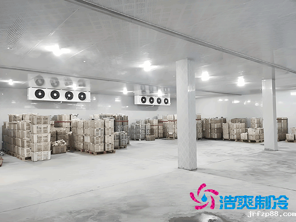 食品冷冻库安装