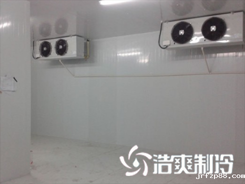 浙江绍兴养乐多乳制品冷库建造安装