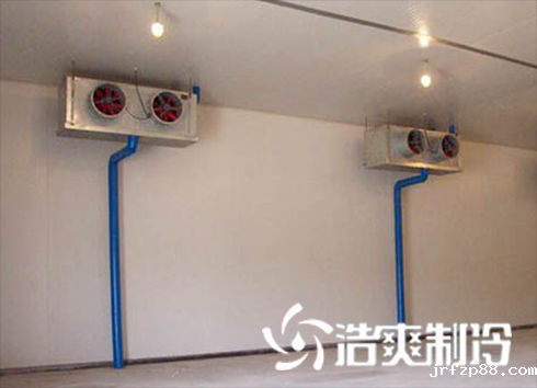 蛋品低温冷库建造
