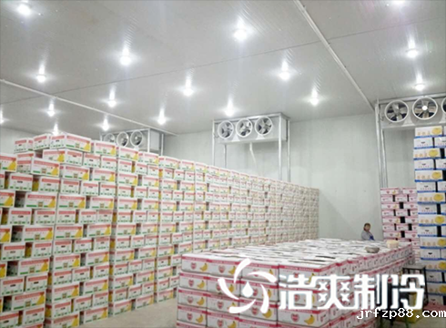 开云体育最新下载软件建造价格