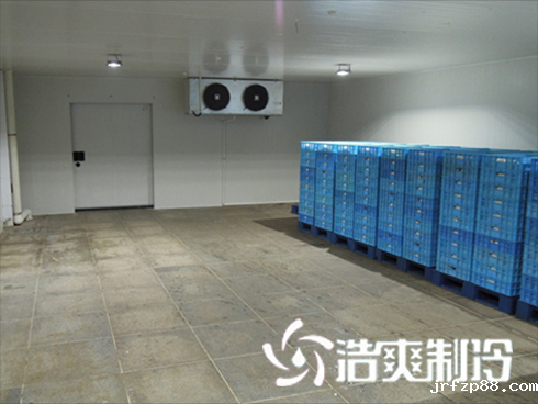 开云体育最新下载软件建造价格