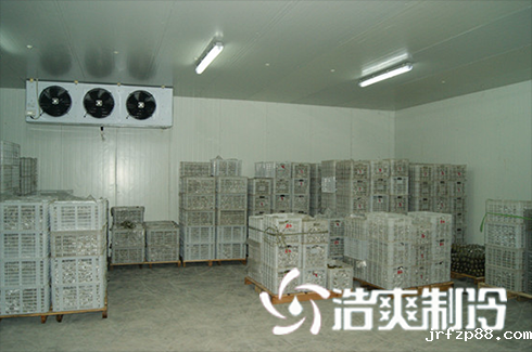 食品加工型低温冷藏库价格