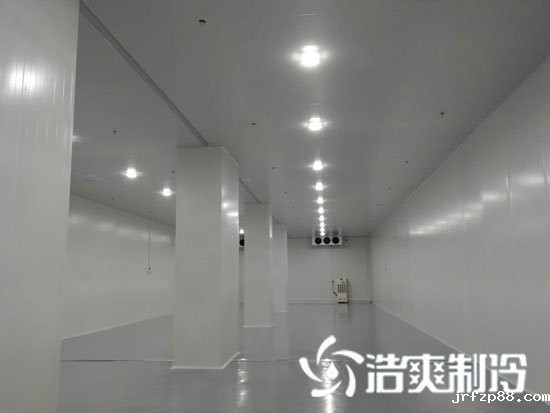 食品冷链低温冷藏库