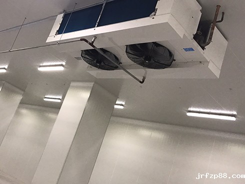 河北周黑鸭新工厂项目1#车间冷库建造工程案例