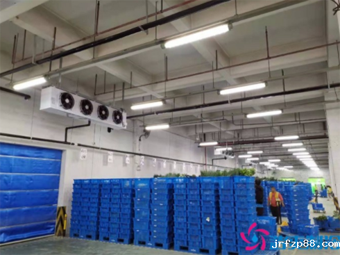 叮咚买菜17000m³生鲜电商冷库建造